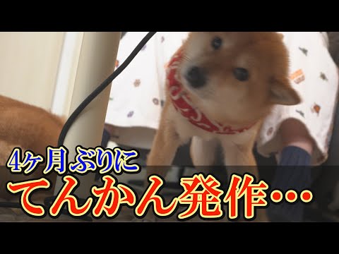 昨夜から軽度な発作が、止まらなくなりました・・・ サムネイル