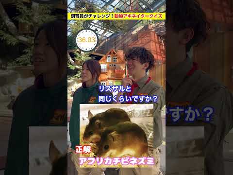 飼育員チーム戦🔥勝つのはどっち!?【後編】 サムネイル