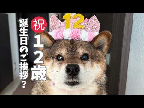 胡麻柴の花さん12歳になりました！ サムネイル