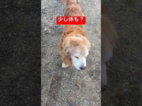 無理してない？ サムネイル