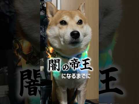 どっちが好きですか？ サムネイル