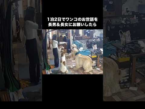 母の留守中の様子を見守りカメラで見てみたら、見てはいけないものを見てしまいました 指一本で事足りる長女 これが本当の先… サムネイル