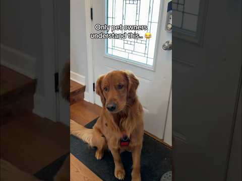 Why is he like this? サムネイル