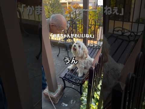 ２日間会えなかっただけでこれ😯　犬　かわいい犬 犬のいる暮らし かわいい 癒し サムネイル