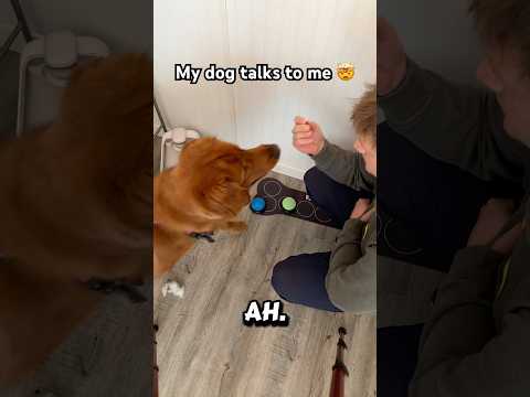 My dog can Talk! サムネイル