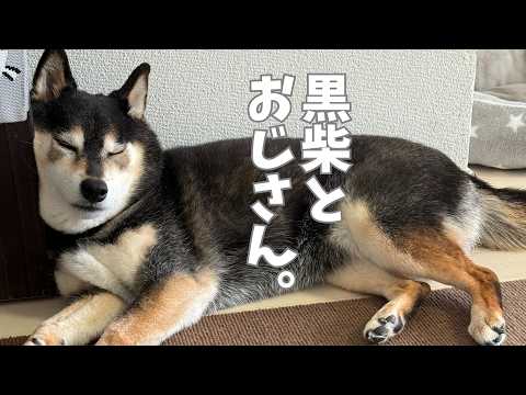 黒柴の切り替えの早さに驚愕・・・ サムネイル