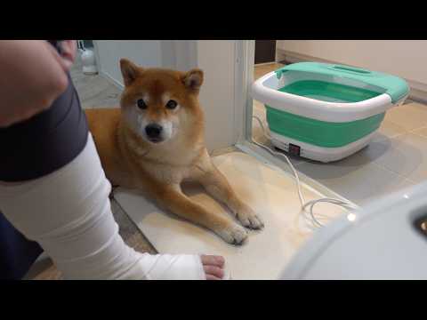 ママが足湯をすると可愛い現象が起きました サムネイル