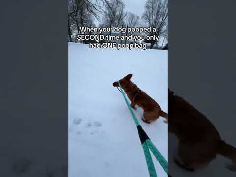 Based loosely on a true story 🫢 サムネイル