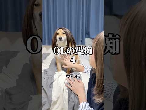 興味ないバレンタインの愚痴を聞かされるOLと愚痴るOL 柴犬 shorts サムネイル