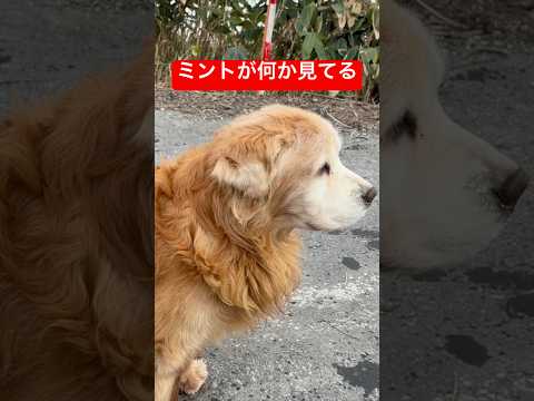 その一言でスイッチ入った サムネイル