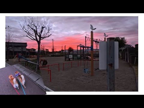 2026年1月19日(月) 早朝ゲーミング散歩 サムネイル