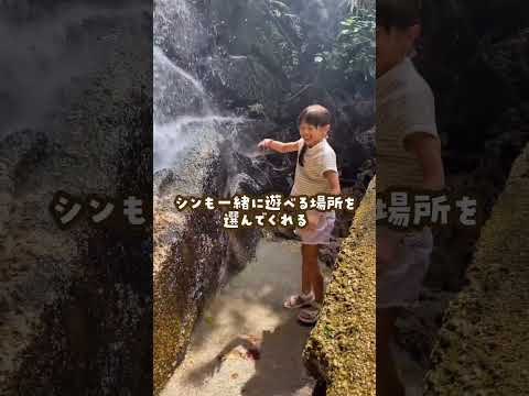 幼少期から大型犬と一緒に育った結果 ゴールデンレトリバー 大型犬のいる生活 goldenretreiver サムネイル