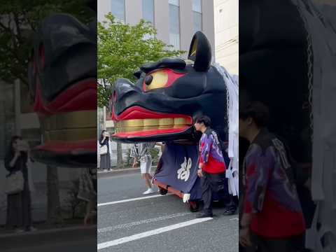 shorts 酒田大獅子　松　獅子パックン　酒田まつり　2026年5月20日