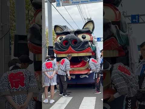 shorts 獅子パックン　酒田大獅子　松🌲　酒田まつり　2026年5月20日