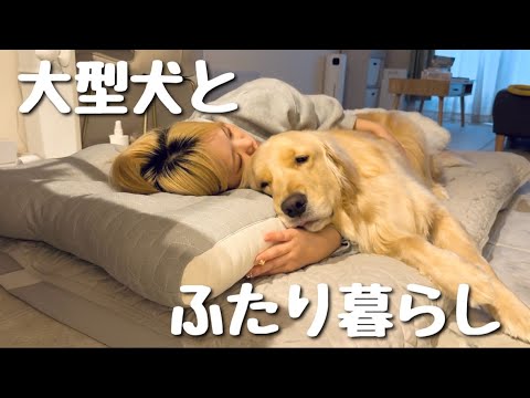 【雨の日のモーニングルーティン】アラサー独身女とゴールデンレトリバーの日常 サムネイル