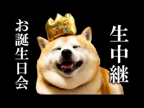 らんまるのお誕生日会、生中継！！！全員集合！！！【祝・お誕生日】
