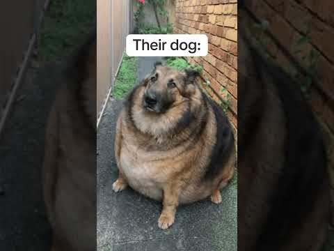 You’re not fooling anyone 😂 サムネイル