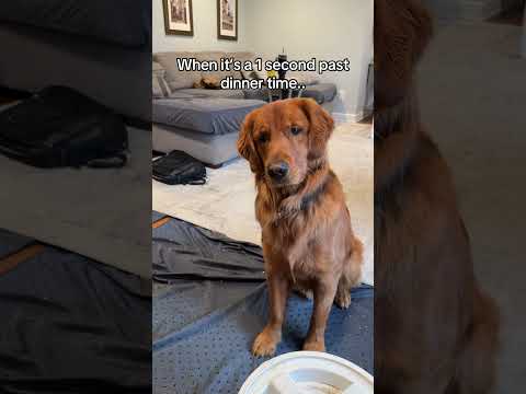 I’m being threatened 😳 サムネイル