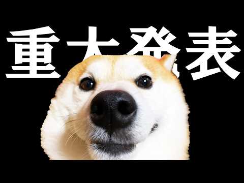 みなさまのおかげで、大変うれしいことが決定しました。