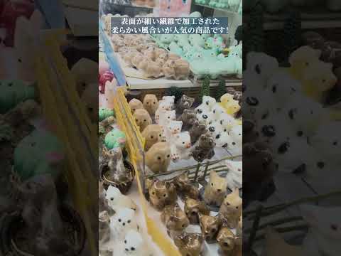 【魚津水族館】魚津水族館のおみやげ屋さん!真珠コーナー shorts