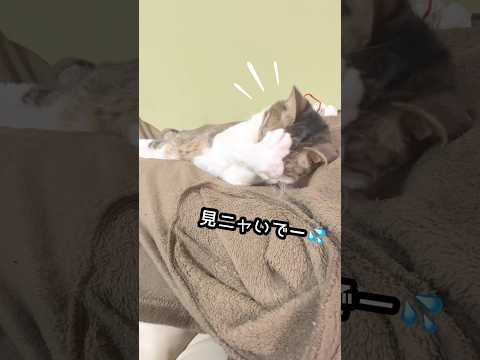 変な寝相だと思って見ていたら、まさかの結末が… サムネイル