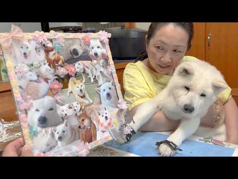 介護生活中、元気だった頃の愛犬を忘れないように。