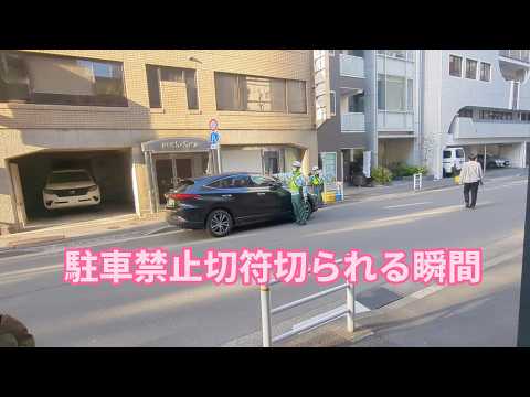 駐禁が切られる瞬間。ゴールデンレトリバーティト サムネイル