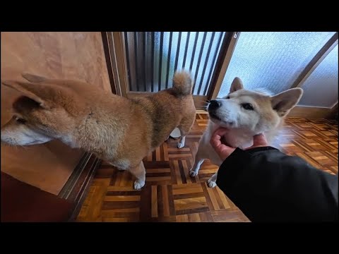 いつもは自動ドアなのに・・。 サムネイル