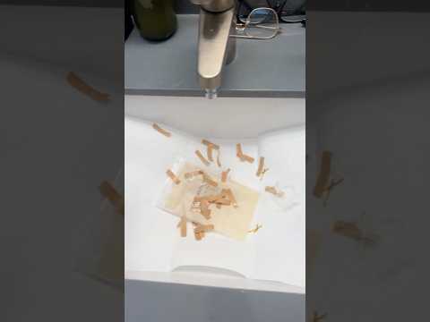 coming home to my golden retriever ♥️ goldendog dog puppy g… サムネイル