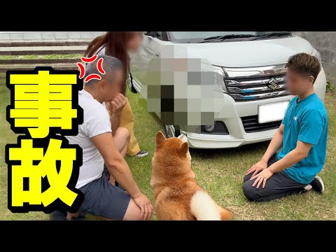 柴犬との思い出の車を兄がやらかしてしまいました サムネイル
