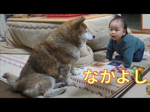 【1069】ちょっと怖い？ サムネイル