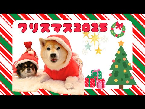 メリークリスマス2025❤ サムネイル