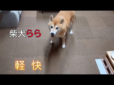 軽快 サムネイル