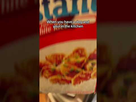 The kitchen is crowded 😂 サムネイル