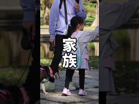 12歳元保護犬🐕が大切にしているもの・・・ サムネイル