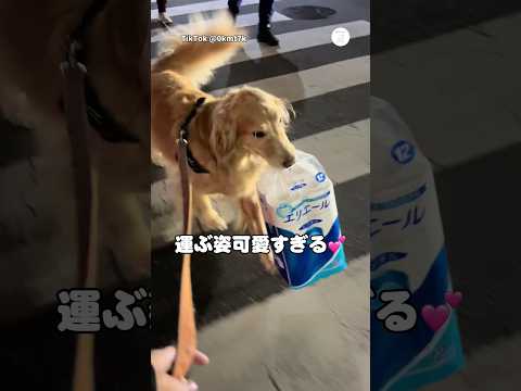 2026年5月13日 サムネイル