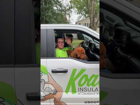 Does this make me insane? サムネイル