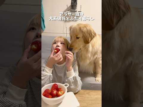 季節のフルーツを麹と楽しむ毎日🍓ゴールデンレトリバー 犬と2人暮らし goldenretriever サムネイル
