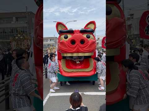 shorts 獅子パックン　酒田まつり　2026年5月20日 サムネイル