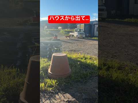 ミント君、パパを探してたのかな…