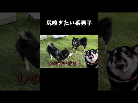 尻嗅ぎたい系男子 サムネイル