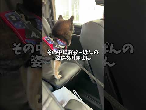置き去りにされて不安がる黒柴？そこに寄り添っていたのは…