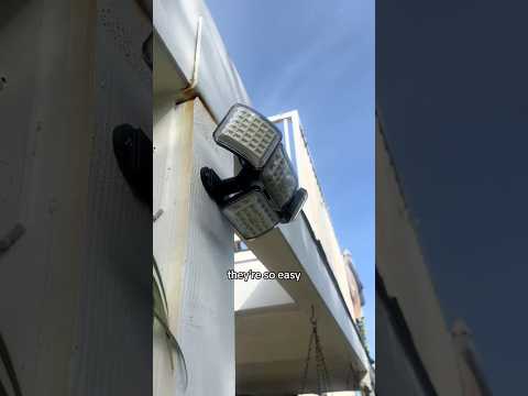 dog-tor coby to rescue🛟goldenpup puppy goldenpupppy dogbree… サムネイル