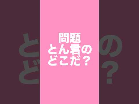 柴犬とん君の部位をあててね！　柴犬　柴犬とん