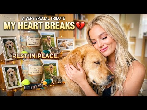 Bikini Try-On Haul 007 :| 4K Transparent Lingerie & See-Thr… サムネイル