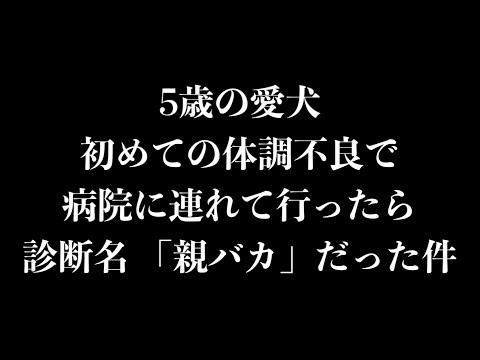 5歳の愛犬初めての体調不良で病院に連れて行ったら診断名「親バカ」だった件。 サムネイル