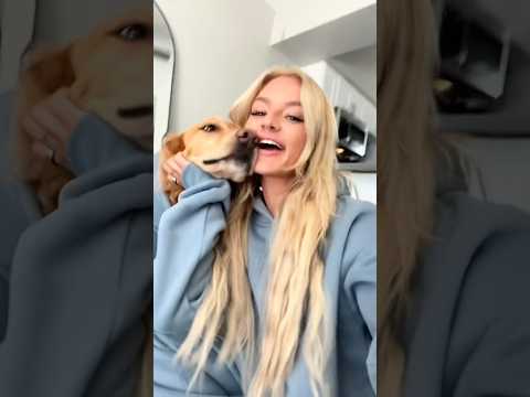 coming home to my golden retriever🥵goldenretreivers dog pup… サムネイル