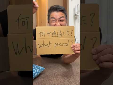 何が通過したか分かるかな？　柴犬　柴犬とん