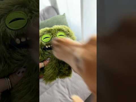 coming home to my golden retriever🥵goldenretreivers dog pup… サムネイル