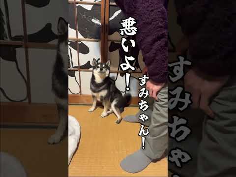 反抗的な犬 サムネイル